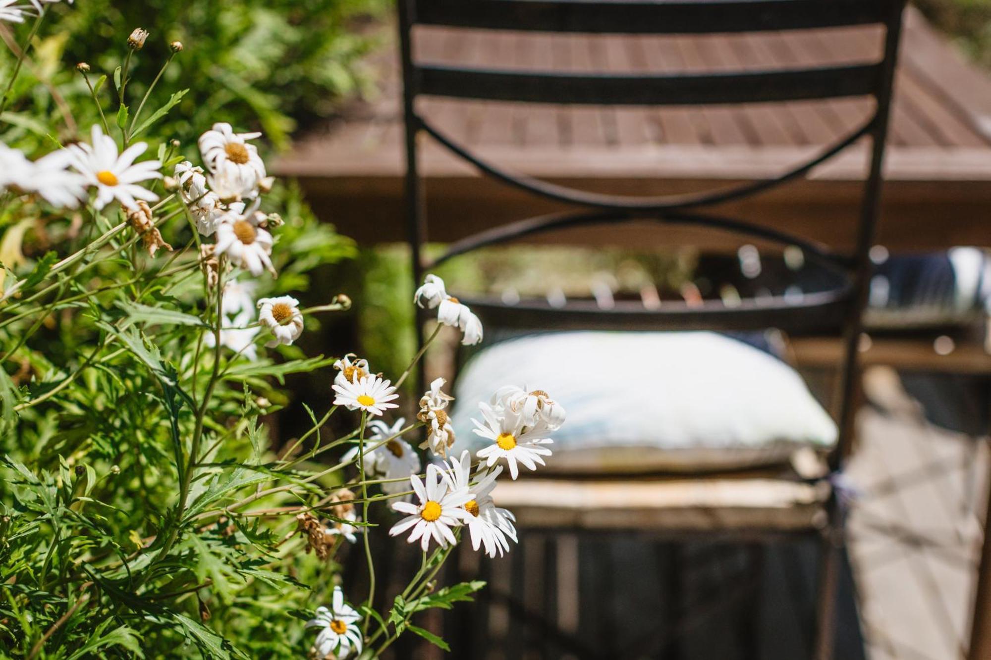 Haumoana Herb Cottage Ngoại thất bức ảnh